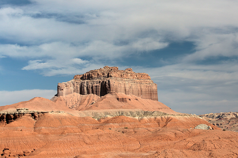 Bison : Antelope Island : Utah : Landscape Photos : Richard Moore : Photographer
